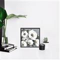 Picture of Full Bloom I _GroupedProduct_Square_Canvas_Framed_