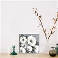 Picture of Full Bloom I _GroupedProduct_Square_Canvas_Framed_