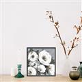 Picture of Full Bloom I _GroupedProduct_Square_Canvas_Framed_