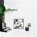 Picture of Full Bloom II _GroupedProduct_Square_Canvas_Framed_