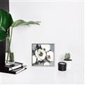 Picture of Full Bloom II _GroupedProduct_Square_Canvas_Framed_