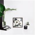 Picture of Full Bloom II _GroupedProduct_Square_Canvas_Framed_