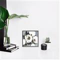 Picture of Full Bloom II _GroupedProduct_Square_Canvas_Framed_