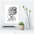 Picture of Flowers and leaves II _GroupedProduct_Rectangle_Portrait_Unframed_Print_Only_