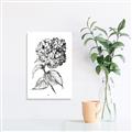 Picture of Flowers and leaves II _GroupedProduct_Rectangle_Portrait_Unframed_Print_Only_