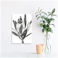 Picture of Spring Magnolia Blossoms _GroupedProduct_Rectangle_Portrait_Unframed_Print_Only_