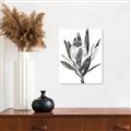 Picture of Spring Magnolia Blossoms _GroupedProduct_Rectangle_Portrait_Unframed_Print_Only_