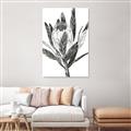 Picture of Spring Magnolia Blossoms _GroupedProduct_Rectangle_Portrait_Unframed_Print_Only_