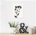 Picture of Black flower II (Ink border black ) _GroupedProduct_Rectangle_Portrait_Unframed_Print_Only_