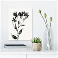 Picture of Black flower II (Ink border black ) _GroupedProduct_Rectangle_Portrait_Unframed_Print_Only_