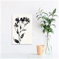 Picture of Black flower II (Ink border black ) _GroupedProduct_Rectangle_Portrait_Unframed_Print_Only_