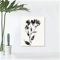 Picture of Black flower II (Ink border black ) _GroupedProduct_Rectangle_Portrait_Unframed_Print_Only_