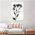 Picture of Black flower II (Ink border black ) _GroupedProduct_Rectangle_Portrait_Unframed_Print_Only_