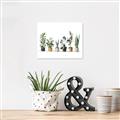 Picture of Pots with plants _GroupedProduct_Rectangle_Landscape_Unframed_Print_Only_