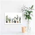 Picture of Pots with plants _GroupedProduct_Rectangle_Landscape_Unframed_Print_Only_