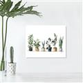 Picture of Pots with plants _GroupedProduct_Rectangle_Landscape_Unframed_Print_Only_