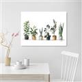 Picture of Pots with plants _GroupedProduct_Rectangle_Landscape_Unframed_Print_Only_
