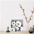 Picture of Full Bloom I _GroupedProduct_Square_Unframed_Print_Only_
