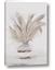 Picture of Sandy feathers
