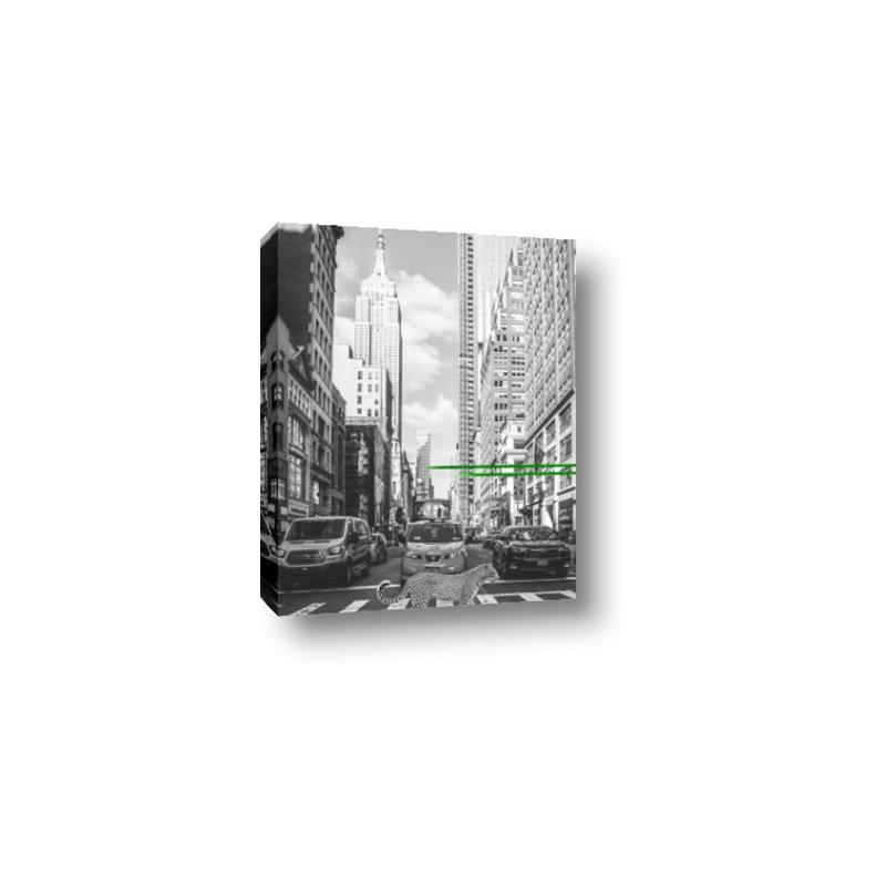 Picture of Big Cat on street of NY _GroupedProduct_Rectangle_Portrait_Canvas_