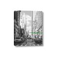 Picture of Big Cat on street of NY _GroupedProduct_Rectangle_Portrait_Canvas_