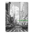 Picture of Big Cat on street of NY _GroupedProduct_Rectangle_Portrait_Canvas_