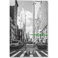 Picture of Big Cat on street of NY _GroupedProduct_Rectangle_Portrait_Canvas_
