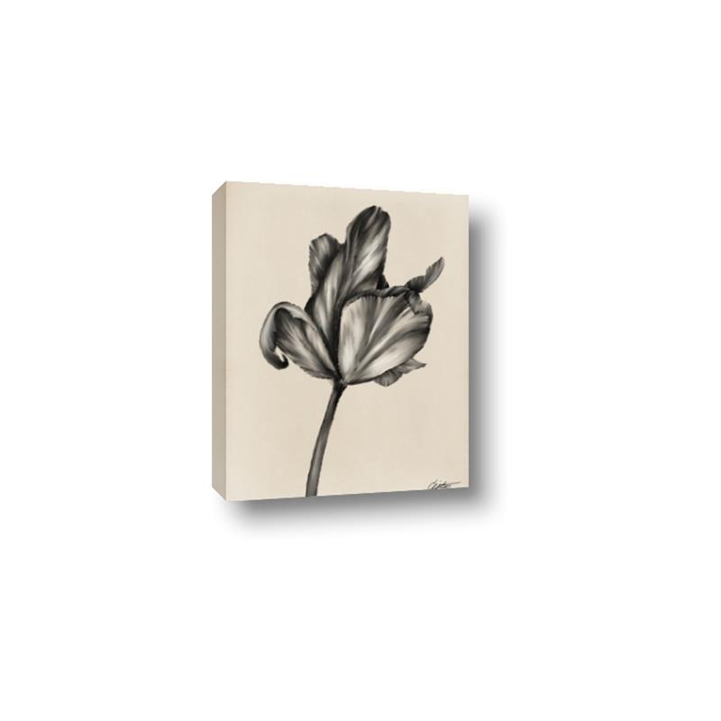 Picture of Spring-blooming _GroupedProduct_Rectangle_Portrait_Canvas_