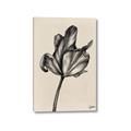 Picture of Spring-blooming _GroupedProduct_Rectangle_Portrait_Canvas_