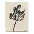 Picture of Spring-blooming _GroupedProduct_Rectangle_Portrait_Canvas_