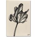 Picture of Spring-blooming _GroupedProduct_Rectangle_Portrait_Canvas_
