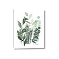 Picture of Green and Serene II _GroupedProduct_Rectangle_Portrait_Canvas_
