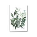 Picture of Green and Serene II _GroupedProduct_Rectangle_Portrait_Canvas_