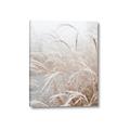 Picture of Frosted pampas grass _GroupedProduct_Rectangle_Portrait_Photography _GroupedProduct_Rectangle_Portrait_Canvas_