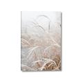 Picture of Frosted pampas grass _GroupedProduct_Rectangle_Portrait_Photography _GroupedProduct_Rectangle_Portrait_Canvas_