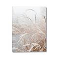 Picture of Frosted pampas grass _GroupedProduct_Rectangle_Portrait_Photography _GroupedProduct_Rectangle_Portrait_Canvas_