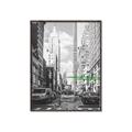 Picture of Big Cat on street of NY _GroupedProduct_Rectangle_Portrait_Canvas_Framed_