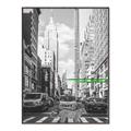 Picture of Big Cat on street of NY _GroupedProduct_Rectangle_Portrait_Canvas_Framed_