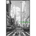 Picture of Big Cat on street of NY _GroupedProduct_Rectangle_Portrait_Canvas_Framed_