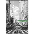 Picture of Big Cat on street of NY _GroupedProduct_Rectangle_Portrait_Canvas_Framed_