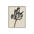 Picture of Spring-blooming _GroupedProduct_Rectangle_Portrait_Canvas_Framed_