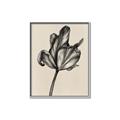 Picture of Spring-blooming _GroupedProduct_Rectangle_Portrait_Canvas_Framed_