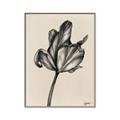 Picture of Spring-blooming _GroupedProduct_Rectangle_Portrait_Canvas_Framed_