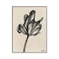 Picture of Spring-blooming _GroupedProduct_Rectangle_Portrait_Canvas_Framed_