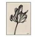 Picture of Spring-blooming _GroupedProduct_Rectangle_Portrait_Canvas_Framed_