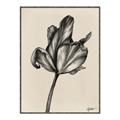 Picture of Spring-blooming _GroupedProduct_Rectangle_Portrait_Canvas_Framed_