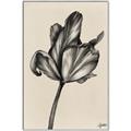 Picture of Spring-blooming _GroupedProduct_Rectangle_Portrait_Canvas_Framed_