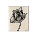 Picture of Spring-blooming II _GroupedProduct_Rectangle_Portrait_Canvas_Framed_
