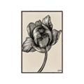 Picture of Spring-blooming II _GroupedProduct_Rectangle_Portrait_Canvas_Framed_
