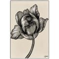 Picture of Spring-blooming II _GroupedProduct_Rectangle_Portrait_Canvas_Framed_